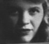 plath.gif (9347 bytes)