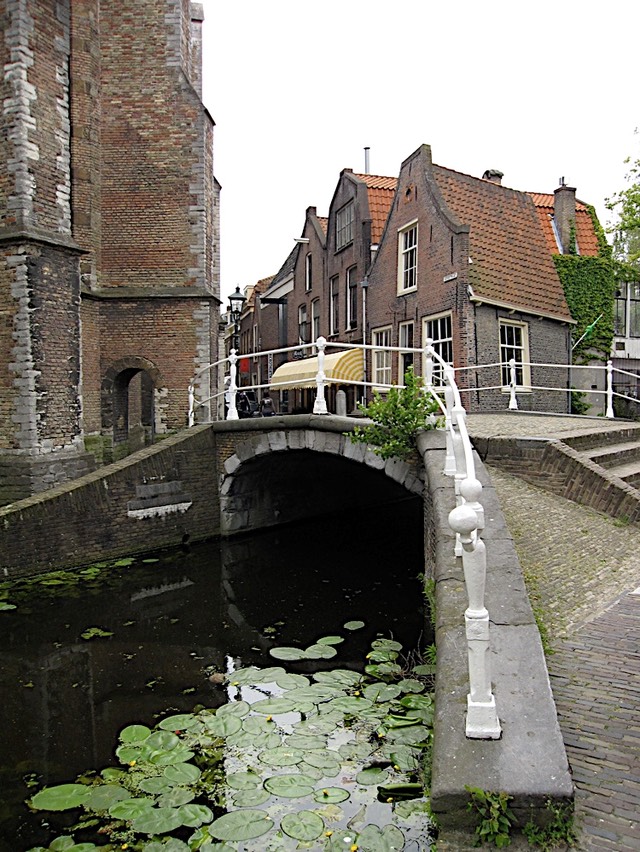 IMG_0337.JPG.jpg