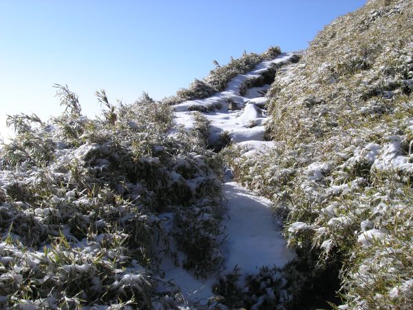 快到奇萊南峰時，路上都可看見積雪了