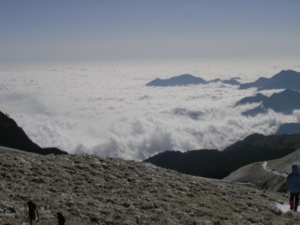 奇萊南峰前雲海