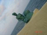 Thumbs/tn_DSC03241.jpg