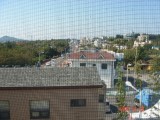 Thumbs/tn_DSC03319.jpg