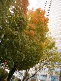 Thumbs/tn_DSC00266.jpg