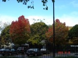 Thumbs/tn_DSC00267.jpg
