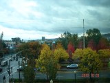 Thumbs/tn_DSC00501.jpg