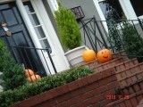 Thumbs/tn_DSC00596.jpg