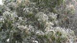 Thumbs/tn_DSC00758.jpg