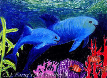 Underwater Underwater