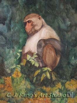 Formosan Rock Monkey