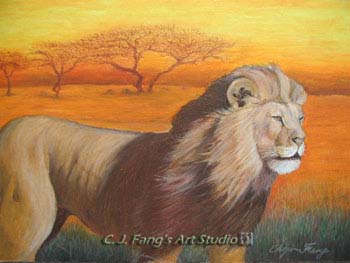 Safari-2