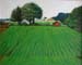 Paddy Field