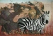 Safari-I