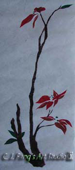 Poinsettia