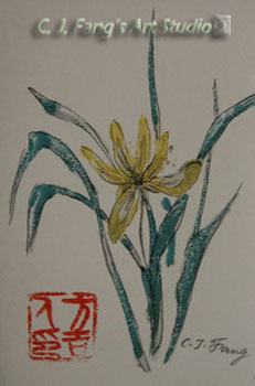 Orchid