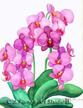 flower-3-1