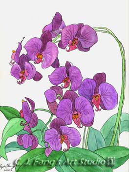 flower-5-1