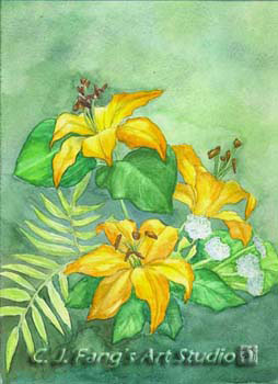 lily-1