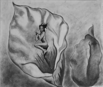 2005_1205drawing20005