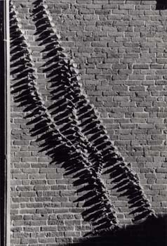 bwwall-1