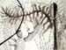 2005_1205printmaking3d0002