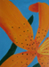 Flower Drawing